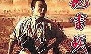 地雷战在线观看,烽火岁月里的英雄传奇